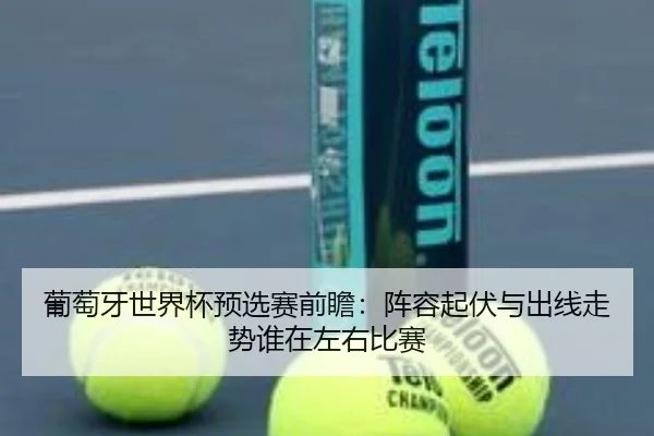葡萄牙世界杯预选赛前瞻：阵容起伏与出线走势谁在左右比赛 | kaiyun